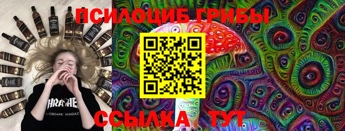 купить   Вход с VPN  Норильск  Псилоцибиновые грибы Psilocybe 