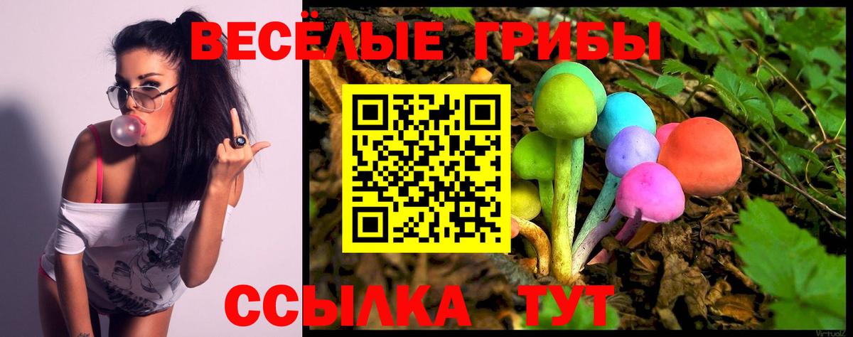 Галлюциногенные грибы мухоморы Норильск